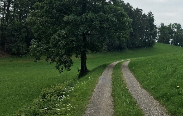 En Suisse romande, les premiers pas timides sur le chemin synodal
