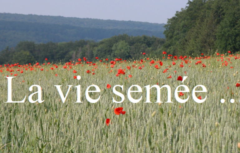 Rencontre entre parents